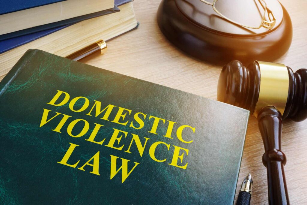 domestic violence law book