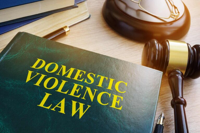 domestic violence law book